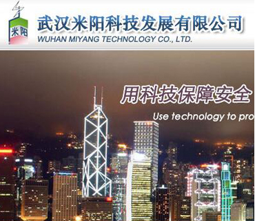 武汉米阳科技发展有限公司